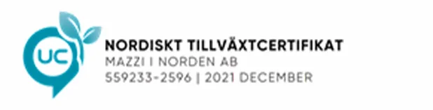 nordisktillvaxt_mazzi_.png Modern vardagsrum efter städning